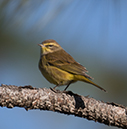 %_tempFileName2018%20%201%2015%20Audubon%20trip%20B_5%