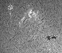 90DS CCS0057 11-06-20 13-53-37