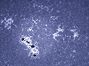 %_tempFileName20120902_143716_U_81LN%