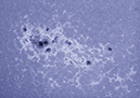 %_tempFileName20120710_164839_U.mov_70PN%