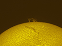 20110903_111915_L.mov_65LN