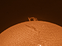 20110903_110455_L.mov_65LN