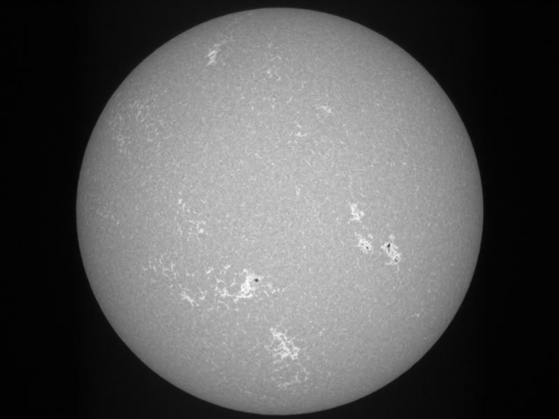 single unprocessed