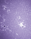 %_tempFileName20140605_205322_L_92LN%