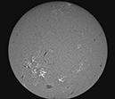 Luella Elem DMK51 15-56-55