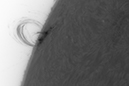 %_tempFileName20130513_212109_U_69LN-001%