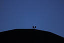 Planets 2 25 20121469