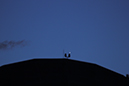 Planets 2 25 20121471