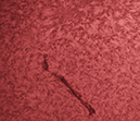 NASA STEM 18-57-42
