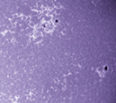 %_tempFileName20130927_130337_L_70LN-001%