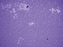%_tempFileName20160509_15dd4010_U_95PN%