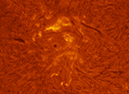 Exploranado0018 11-09-26 18-06-41