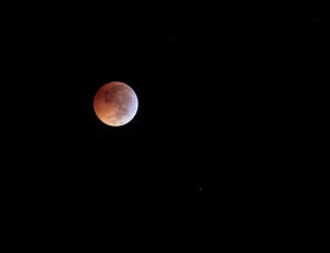 2010 Lunar Eclipse 006.jpg (2019275 bytes)