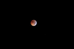 2010 Lunar Eclipse 006.JPG (3809600 bytes)