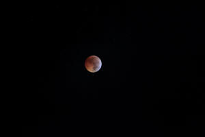 2010 Lunar Eclipse 008.JPG (8612824 bytes)