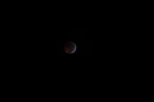 2010 Lunar Eclipse 009.JPG (5938950 bytes)