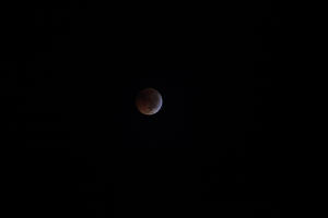 2010 Lunar Eclipse 010.JPG (8263722 bytes)