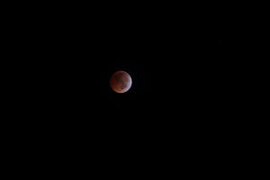 2010 Lunar Eclipse 013.JPG (3449270 bytes)