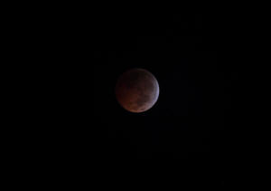 2010 Lunar Eclipse 016.jpg (2364558 bytes)