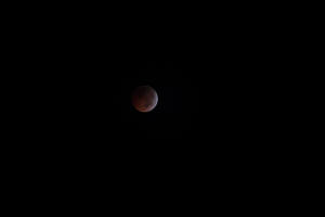 2010 Lunar Eclipse 016.JPG (6647814 bytes)