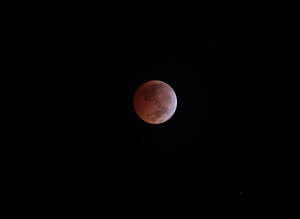 2010 Lunar Eclipse 018.jpg (2883722 bytes)