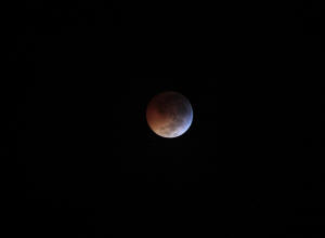2010 Lunar Eclipse BEST.jpg (496924 bytes)