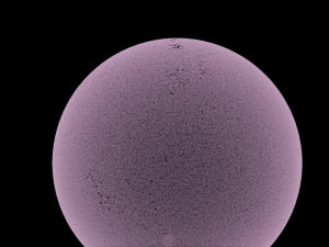 Coronado 60DS DMK41 Proms0009 11-01-28 16-06-19.jpg (549168 bytes)