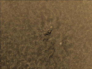 Warner Robins0002 11-01-22 20-50-18.jpg (744592 bytes)