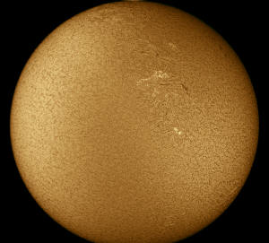 1.jpg (800033 bytes)
