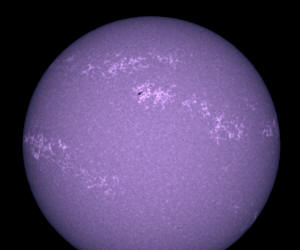 20110402_103126_L.mov_60LN.jpg (84984 bytes)