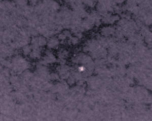 20110511_0958yy16_L.mov_80LN.jpg (219855 bytes)