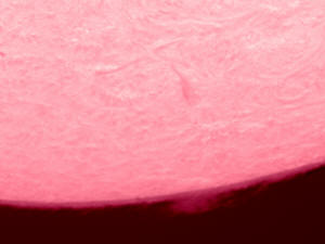 20110511_101912_L.mov_80LN.jpg (2023905 bytes)