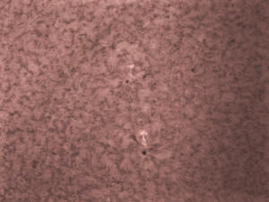 20101113_115838_L.mov_80LN-001.jpg (2171996 bytes)