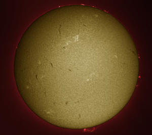 20110504_134527_U.mov_43LN.jpg (704389 bytes)