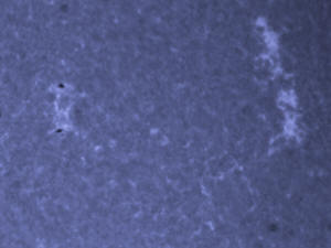 CaK closeup 2.jpg (1176721 bytes)